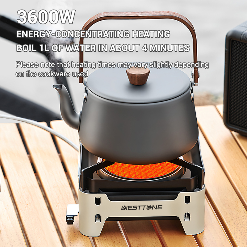 WESTTUNE Camping Kookbrander D - Kitchen Appliances Gas Stove recensie en prijs