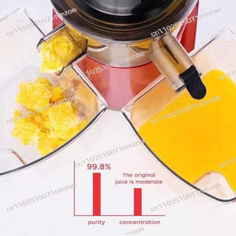Slow Juicer met grote diameter - Juicer Cold Press Slow recensie en prijs