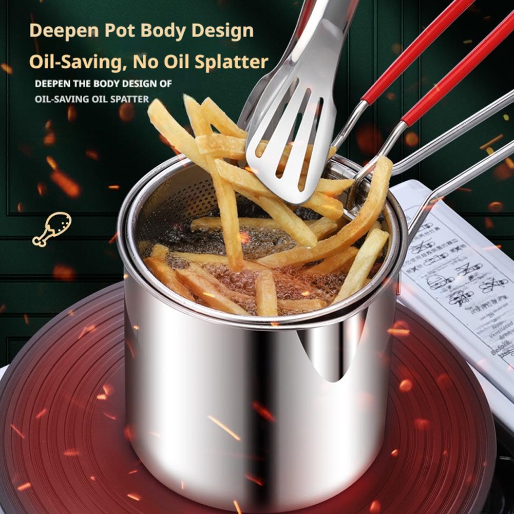Roestvrijstalen frituurpan met - Deep Fryer Stainless recensie en prijs